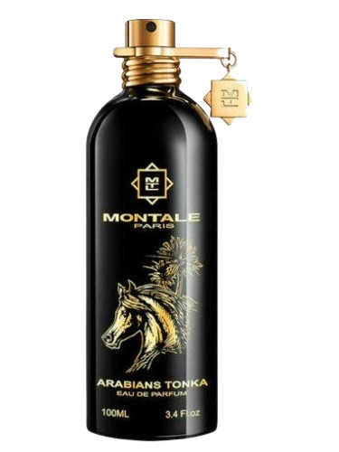 Arabians Tonka - Montale